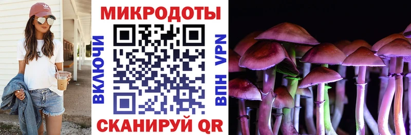 Галлюциногенные грибы Psilocybe  Купить где  Правдинск 